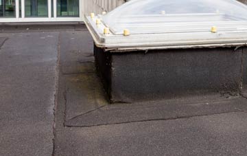 disadvantages of Law flat roofs